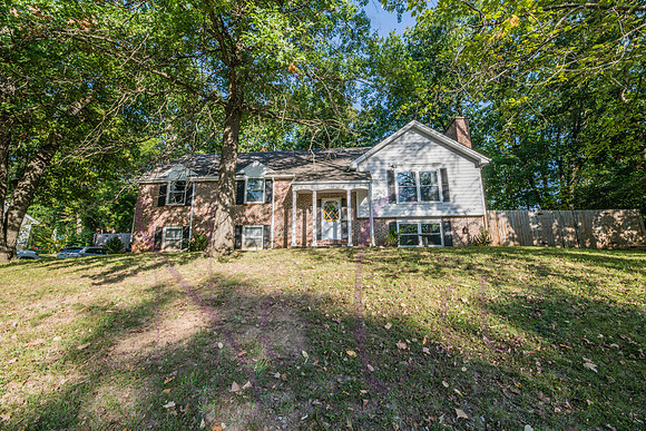 Betsy Arbor 0111