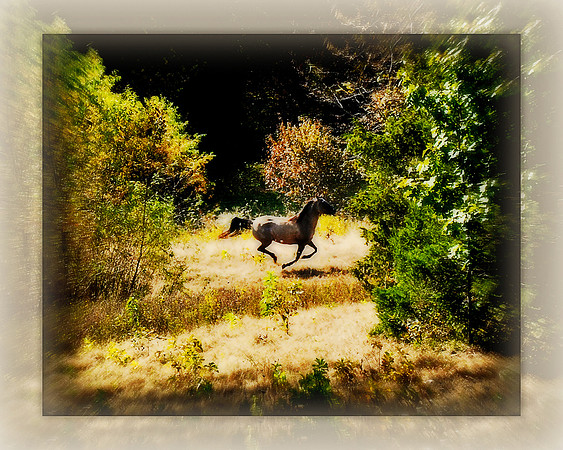 Maggie running 01