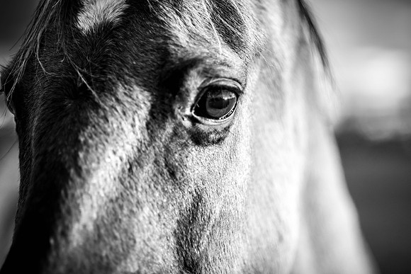 _DSC6756