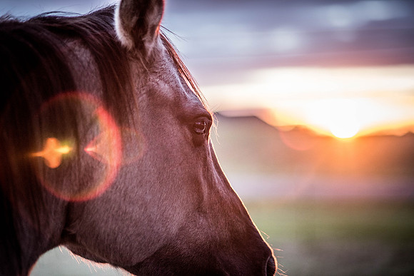 _DSC6788