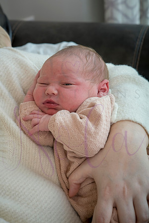 Hemme family 2024 0124
