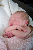 Hemme family 3-23-24