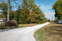 Betsy Locust Grove 0002