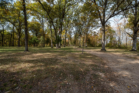 Betsy Locust Grove 0136