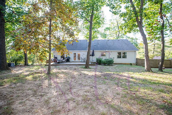 Betsy Arbor 0096