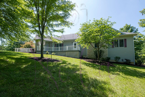 Betsy Shady Hills 2025 0049