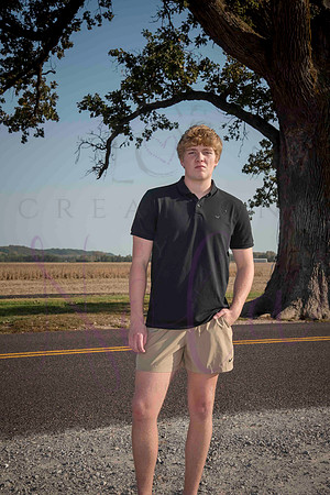 Luke 0098