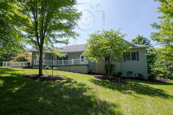 Betsy Shady Hills 2025 0050
