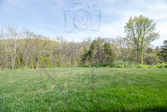Lori 1480 Corbet 0085