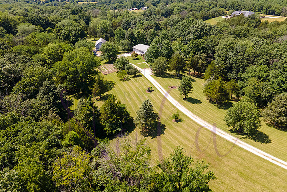 Betsy Shady Hills 2025 0109