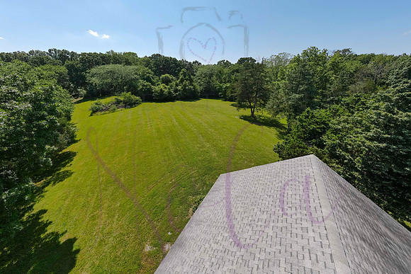 Betsy Shady Hills 2025 0148