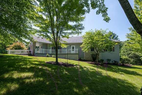 Betsy Shady Hills 2025 0051
