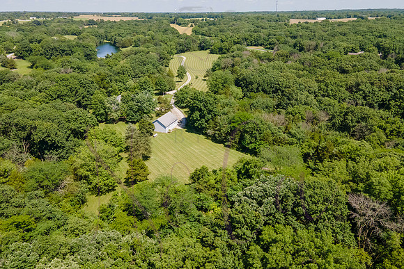 Betsy Shady Hills 2025 0124