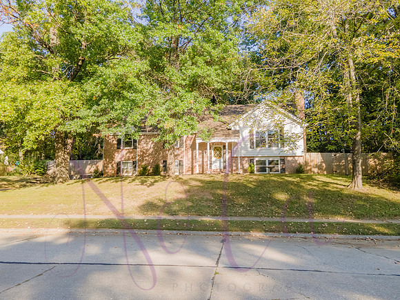 Betsy Arbor 0131