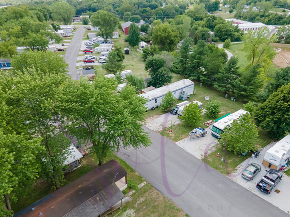 Black Oaks Boonville 0113