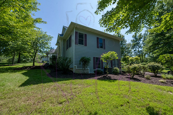 Betsy Shady Hills 2025 0046
