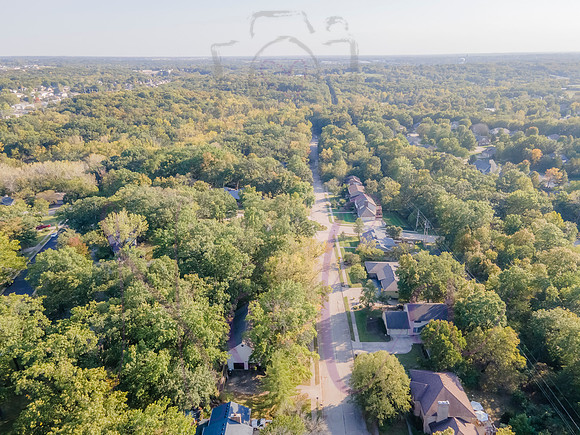 Betsy Arbor 0118
