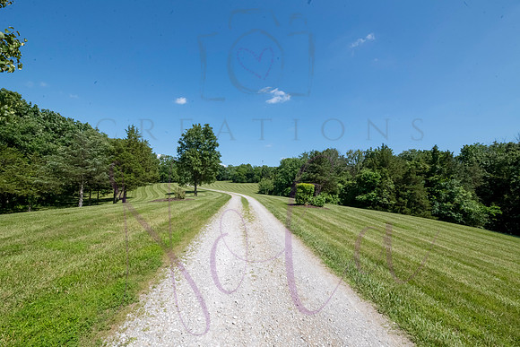 Betsy Shady Hills 2025 0085
