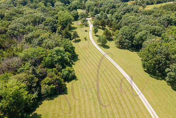 Betsy Shady Hills 2025 0132