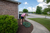 Betsy Limestone 7-15-25