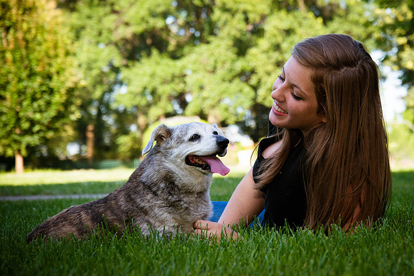 Lisa Evans Lucky dog-418