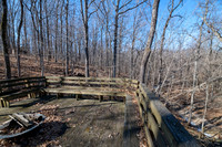 Cyndi Stonehaven 1-28-22