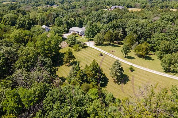 Betsy Shady Hills 2025 0107
