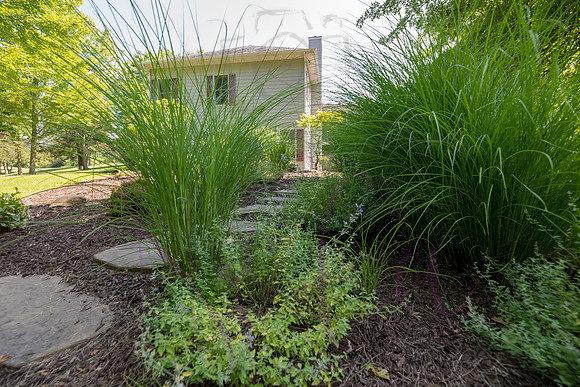 Betsy Shady Hills 2025 0044