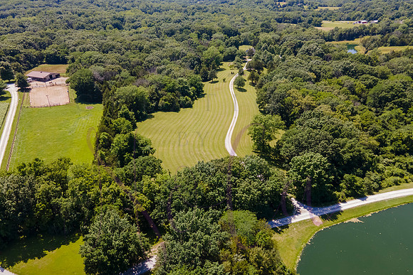 Betsy Shady Hills 2025 0114