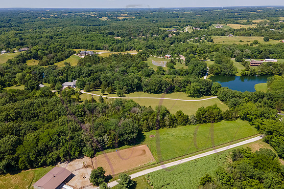 Betsy Shady Hills 2025 0130