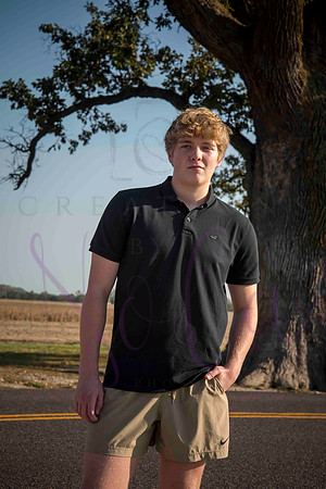 Luke 0096