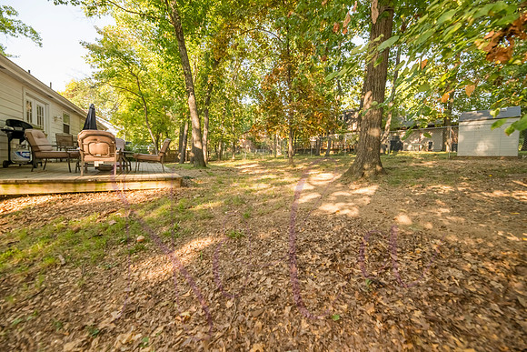 Betsy Arbor 0094