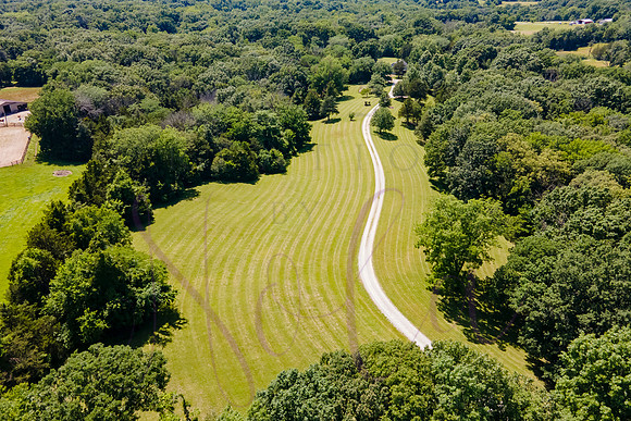 Betsy Shady Hills 2025 0113
