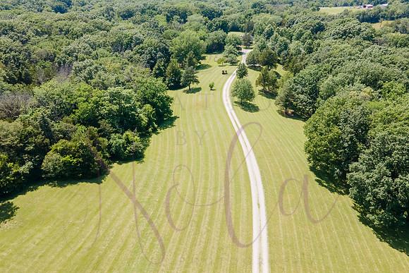 Betsy Shady Hills 2025 0133