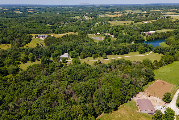 Betsy Shady Hills 2025 0128
