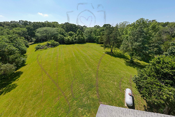 Betsy Shady Hills 2025 0149