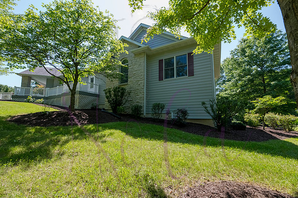 Betsy Shady Hills 2025 0048