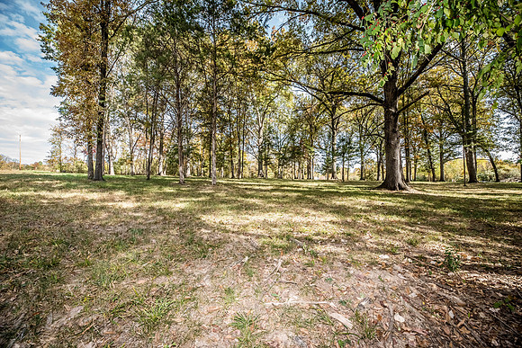 Betsy Locust Grove 0107