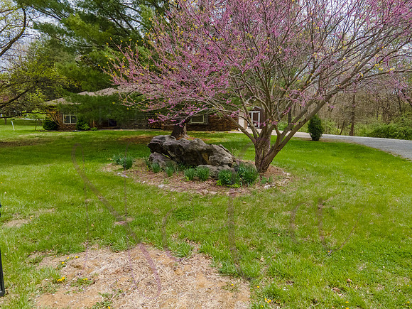 Betsy Old Village Drive 0159