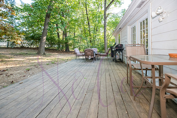 Betsy Arbor 0090