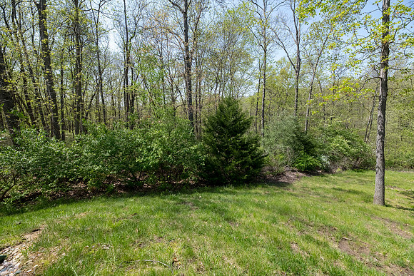 Lori 4405 Ferndale 0068