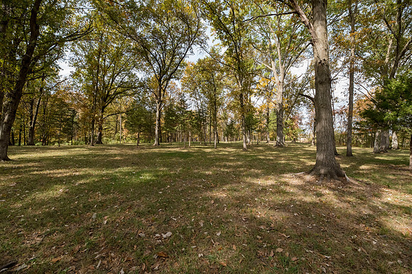 Betsy Locust Grove 0143
