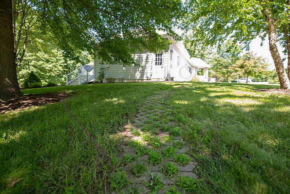 Betsy Shady Hills 2025 0003