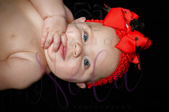 Paisley Jo 171