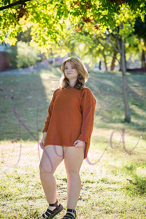 Paighton 0242