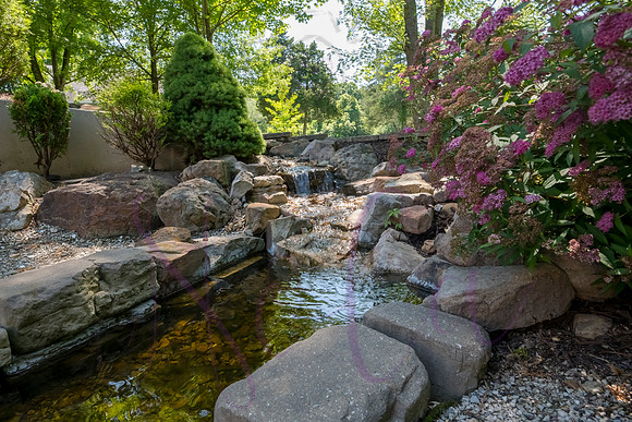 Betsy Shady Hills 2025 0021