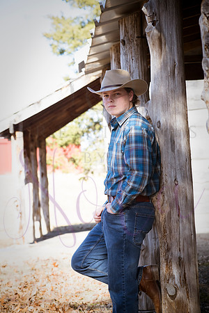 Bridger Fabian 0364