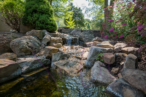 Betsy Shady Hills 2025 0022