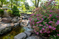 Betsy Shady Hills 2025 0019