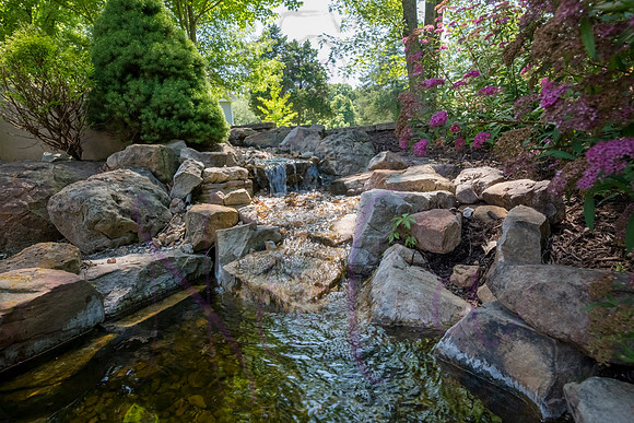 Betsy Shady Hills 2025 0023